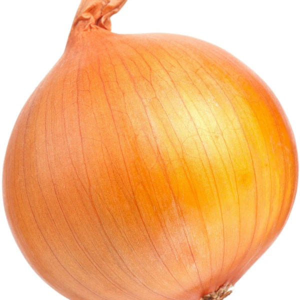 White Onions 50lb Bag – Bulk Fresh Onions – Fast Delivery Across GTA
