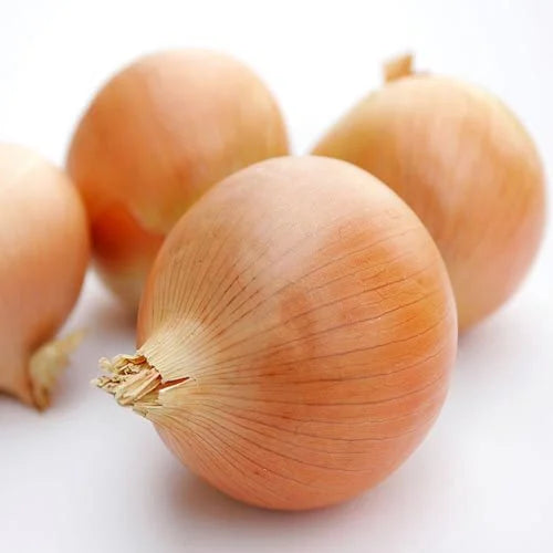 White Onions 50lb Bag – Bulk Fresh Onions – Fast Delivery Across GTA
